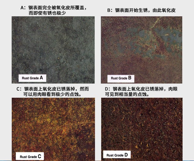 1575860098400359.jpg 拼1.jpg